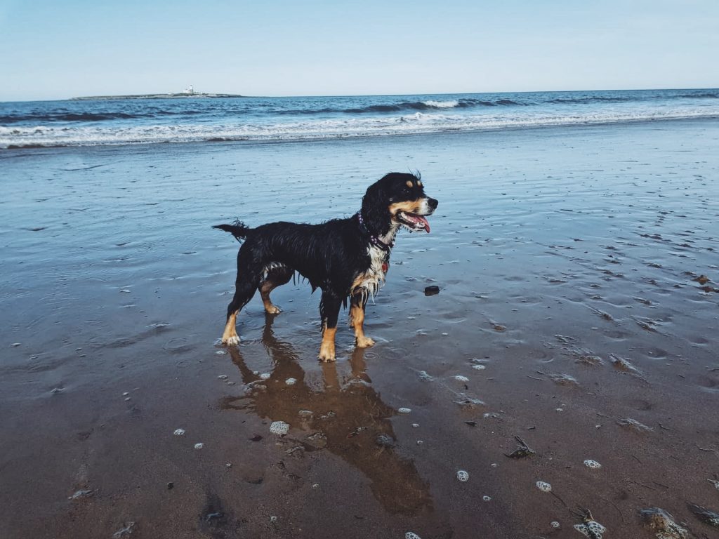 Processed with VSCO with a9 preset