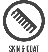 Skin & Coat