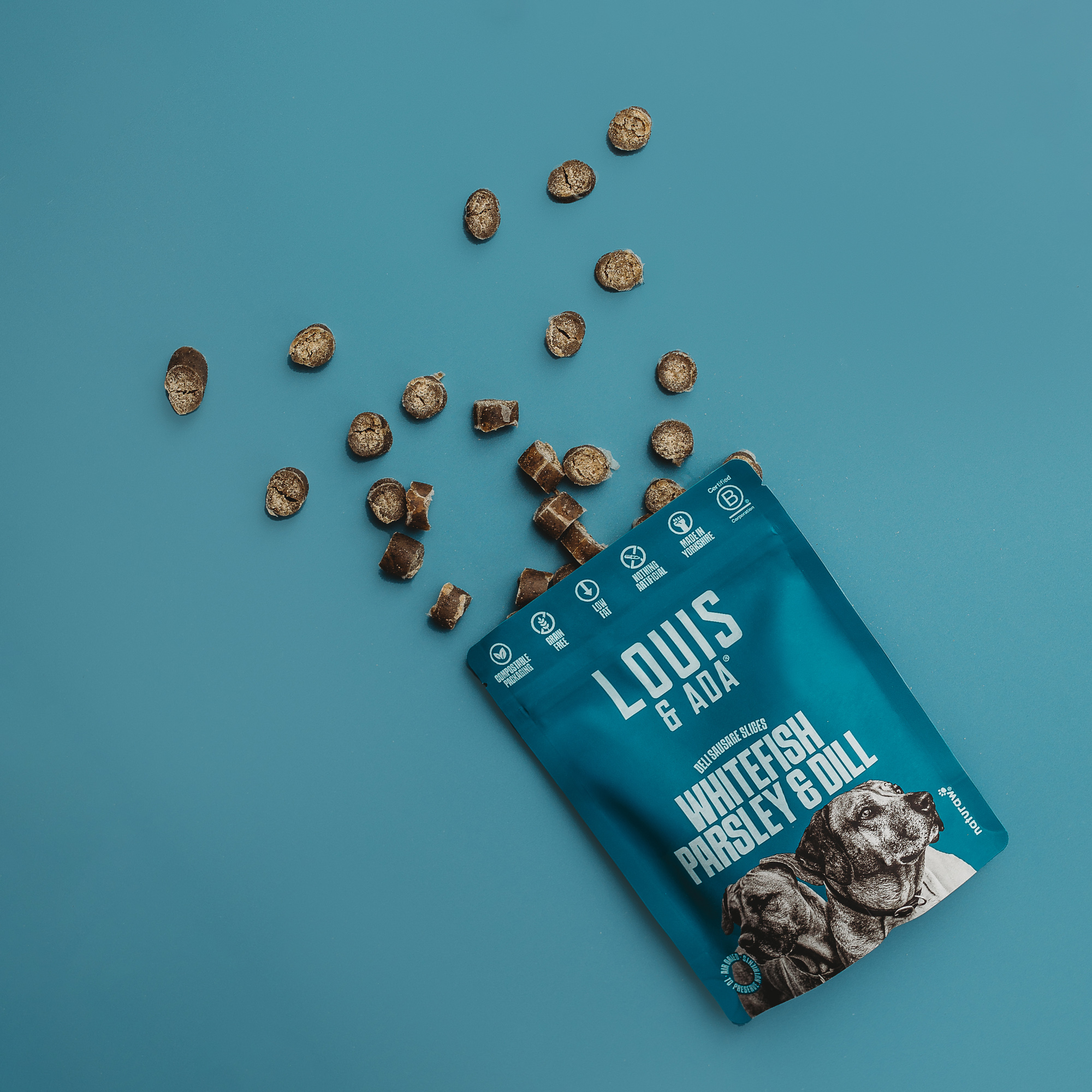 louisandada-whitefishparsleydill2